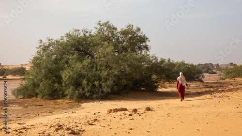A muslim girl with hijab walking under the sun in Sahara, Algeria