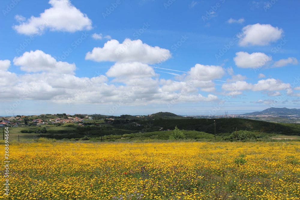 Natureza Portuguesa Natureza Portuguesa