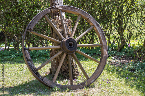 Wooden wheel of a mail coach in the green garden