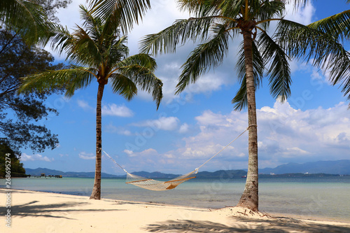 Two palm trees with a hammock on the beach - Gaya Island Malaysia Asia photo