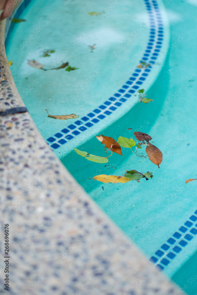 leafs floating in a dirty swimming pool.