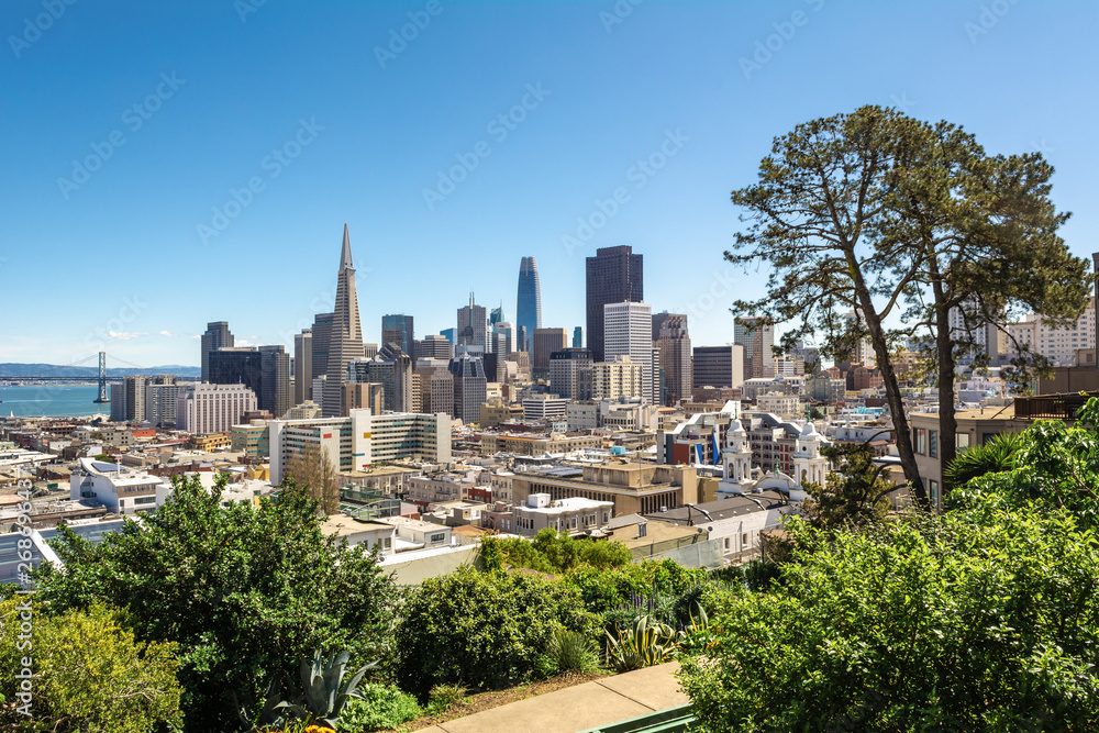 Fototapeta premium San Francisco downtown from Ina Coolbrith Park. Russian Hill District, San Francisco, California, USA