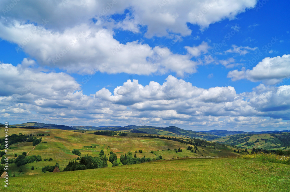 Panoramic view of the Carpathian mountains, green forests and flowering meadows on a sunny summer day Panoramic view of the Carpathian mountains, green forests and flowering meadows on a sunny summer day