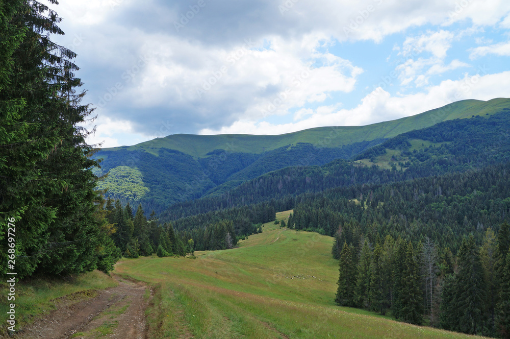 Panoramic view of the Carpathian mountains, green forests and flowering meadows on a sunny summer day Panoramic view of the Carpathian mountains, green forests and flowering meadows on a sunny summer day
