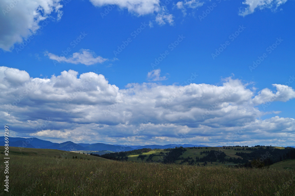 Panoramic view of the Carpathian mountains, green forests and flowering meadows on a sunny summer day Panoramic view of the Carpathian mountains, green forests and flowering meadows on a sunny summer day