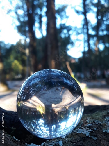 nature through a glass sphere