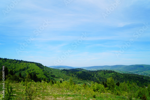 Panoramic view of the Carpathian mountains, green forests and flowering meadows on a sunny summer day