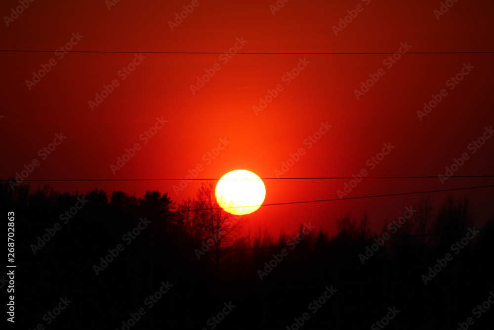 scarlet sunset