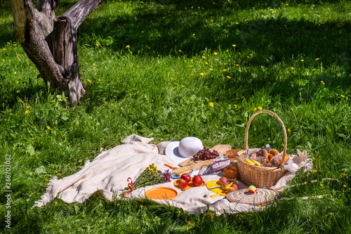 picnic on green grass. Basket with bread and a bottle and bananas in a basket and tomatoes with apples. still life on green grass. a blanket and food for a picnic in summer Park
