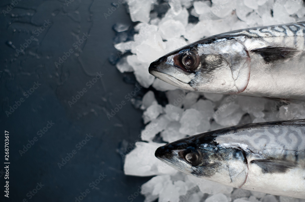 Fresh, raw mackerel on ice on a background of concrete