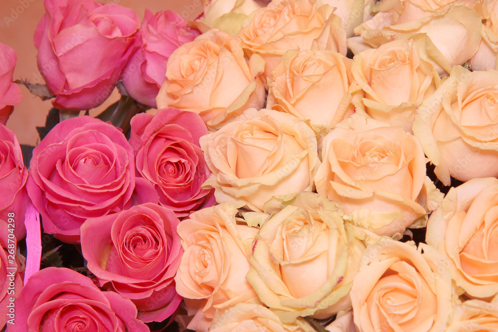 bouquet of pink and creamy roses bouquet of pink and creamy roses