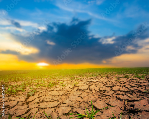 closeup dry land in a crack at the sunset