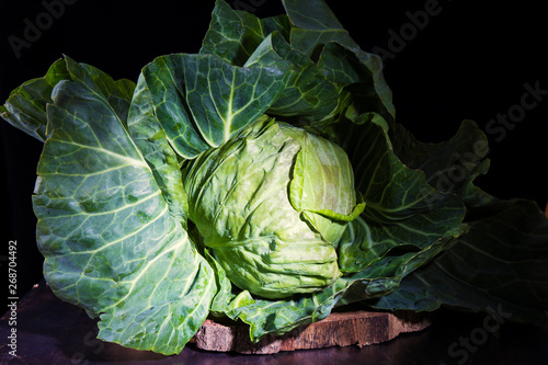 Obraz na plátně Fresh cabbage with large green leaves plucked from the garden in early spring