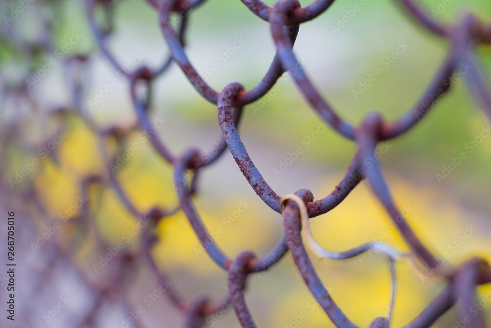 Rusty steel mesh. Macro texture Rusty steel mesh. Macro texture
