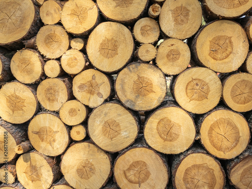 Logs. Log cuts Close Up. Stack of logs. Stack of firewood close up. Logs cuts prepared for fireplace. Woodpile. Wood for fireplace. Wood for winter. Firewood background. 