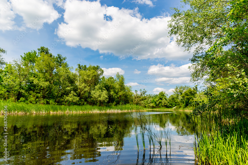 summer on river summer on river