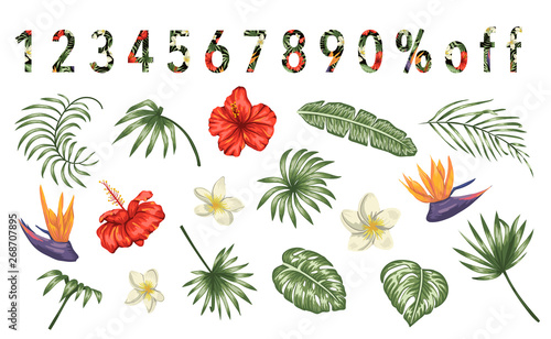 Vector set of tropical flowers and leaves isolated on white background. Bright realistic collection of exotic design elements. Numbers filled with tropic pattern. Good for sale or promo events.