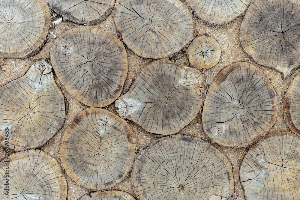 Fototapeta premium Pavement made of cut wood slices.