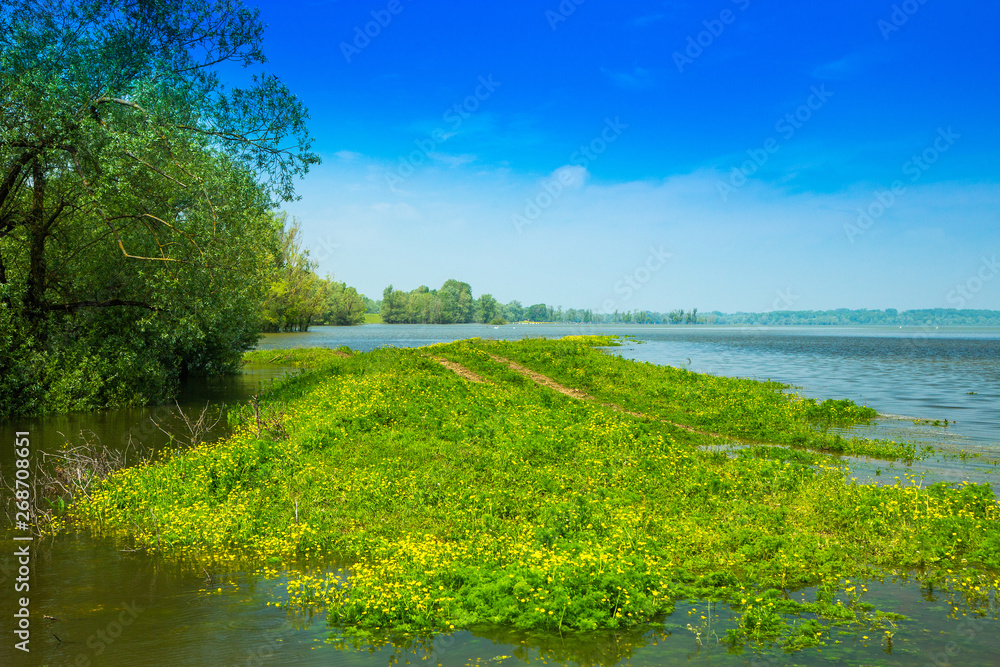 Fototapeta premium Beautiful landscape in nature park Lonjsko polje, Croatia, panoramic view, flooded field in spring