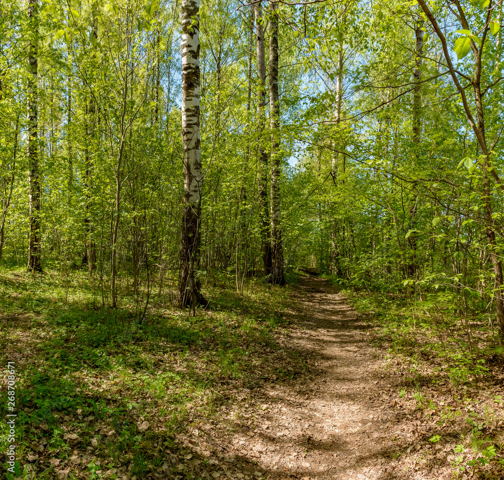 The Sablino nature reserve.