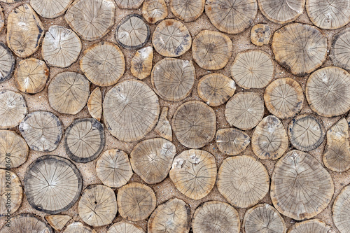 Pavement made of cut wood slices.