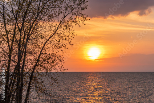 Orange sunset over water with tree silhouette 
