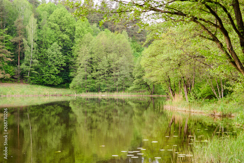 Fototapeta Naklejka Na Ścianę i Meble -  jezioro pośród drzew, Jegłóweczek pod Górą zamkową w Szurpiłach