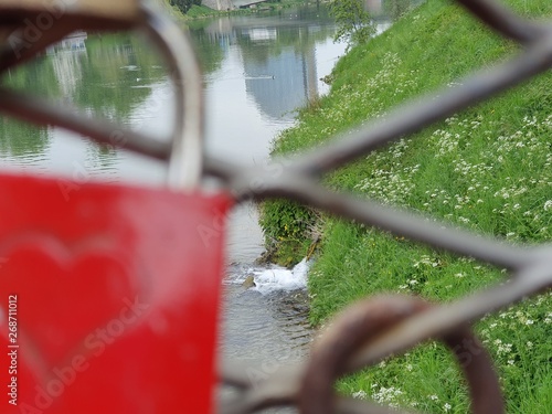 red horse in the park