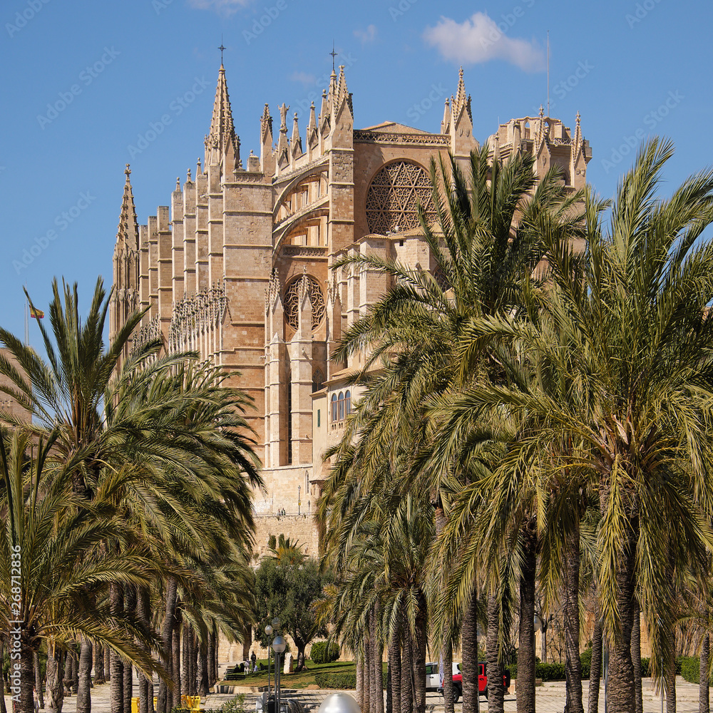 End view of the famous gothic cathedral Santa Maria La Seu with palm tree garden in the foreground