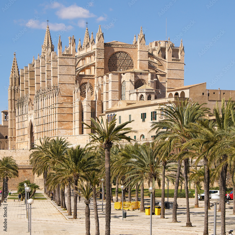 Fototapeta premium Palma de Mallorca, Spain - March 24, 2019 : end view of the famous gothic cathedral Santa Maria La Seu with palm tree garden in the foreground