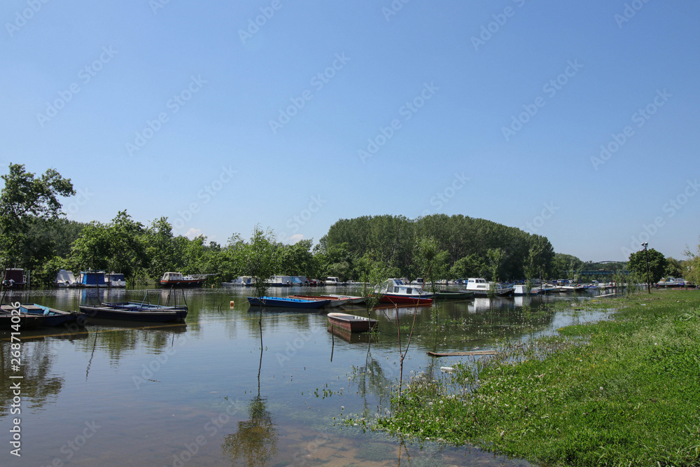 River flooding after rains, flooding of trees and the coastal zo