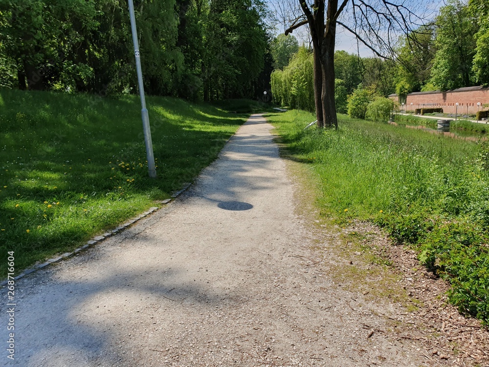 Obraz premium path in the woods