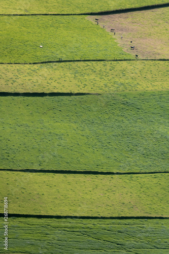 Wallpaper Mural Aerial image of green pastures on Sao Miguel Island Torontodigital.ca