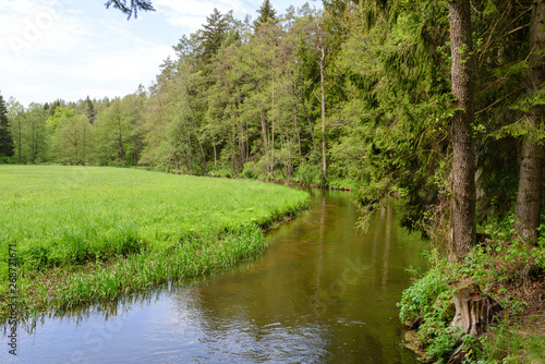 Rzeka Rospuda, zielona łąka i stary las, święte miejsce (ID: 268721671)