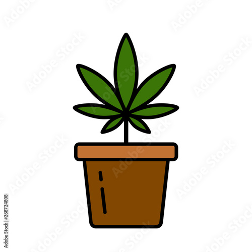 Cannabis plant in a flower pot. Medical marijuana. Growing cannabis. Isolated vector illustration on white background.