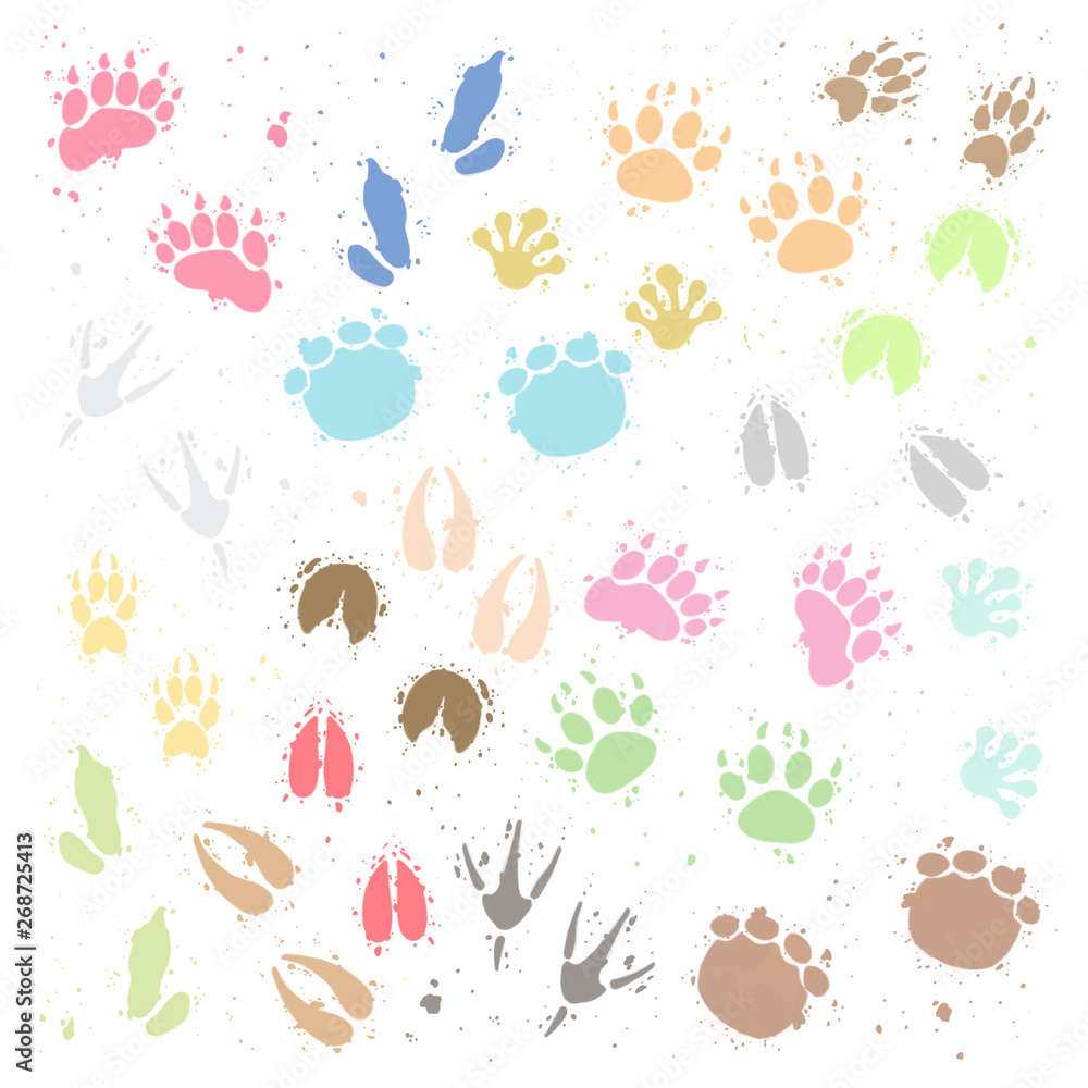 Huellas de colores de animales salvajes Huellas de colores de animales salvajes