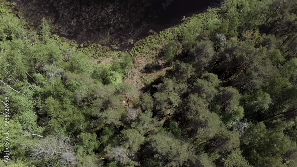 Aerial view of wild forest lake from Drone. Aerial view of lake From the drone with professional camera takes pictures of the lake in forest. 4K Aerial view of wild forest lake from Drone. Aerial view of lake From the drone with professional camera takes pictures of the lake in forest. 4K
