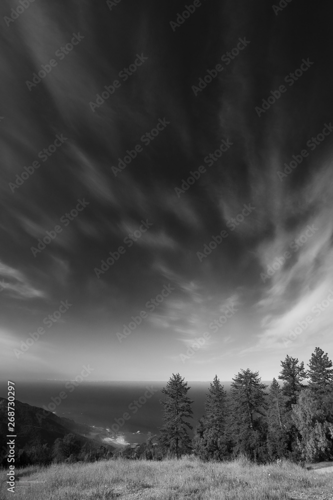 Fototapeta premium Clouds over Pine trees