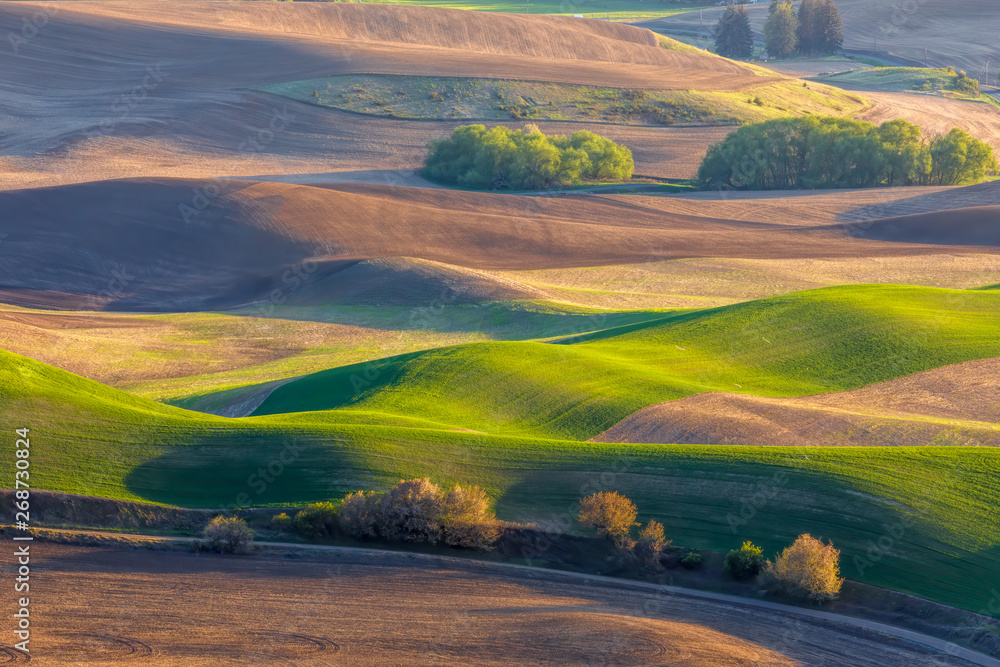 Spring in The Palouse region of eastern Washington, a vast farming area of mostly wheat fields.
