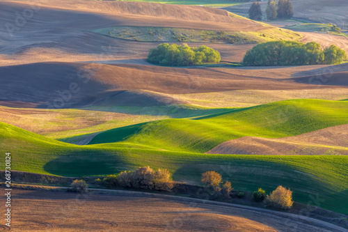 Spring in The Palouse region of eastern Washington, a vast farming area of mostly wheat fields.