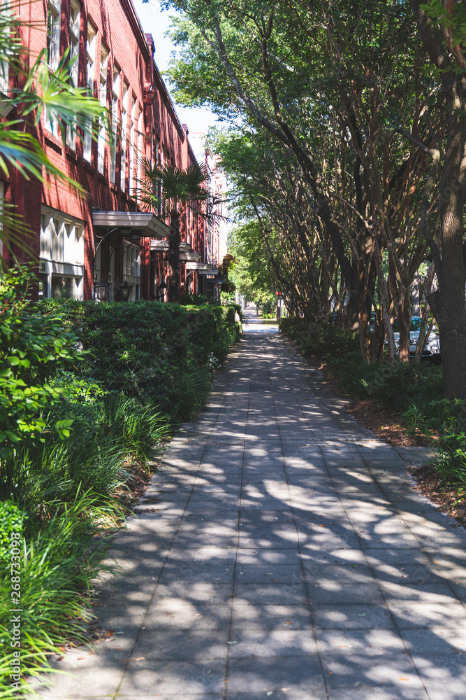 Tree lined street in a historic distric Tree lined street in a historic distric