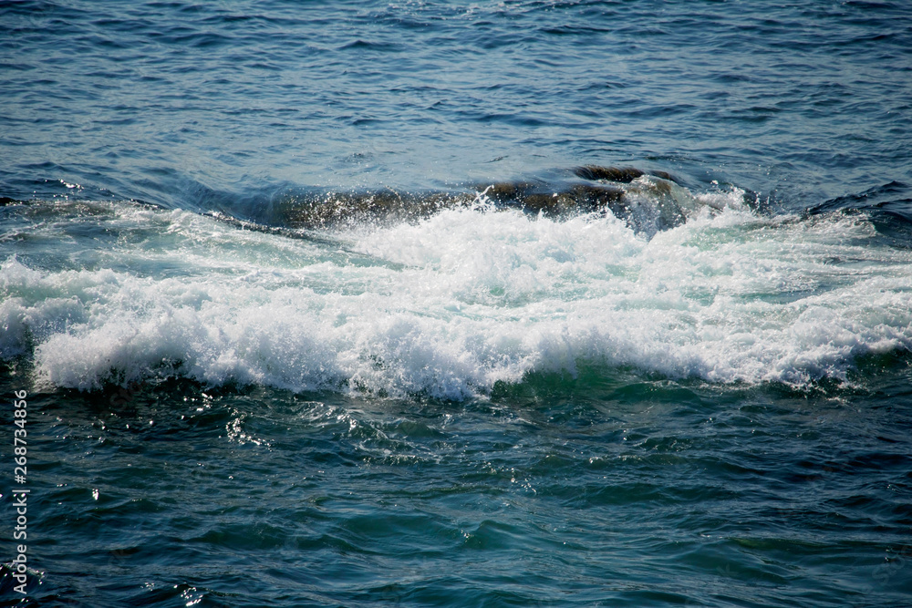 Waves Along Ocean Path Cliff, Acadia National Park, Bar Harbor Maine. Walking path along the ocean. Lots of rock formations, plants, waves and wildlife along this beautiful path. Waves Along Ocean Path Cliff, Acadia National Park, Bar Harbor Maine. Walking path along the ocean. Lots of rock formations, plants, waves and wildlife along this beautiful path.