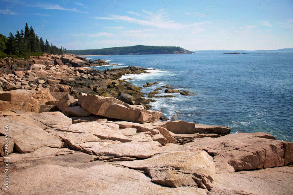 Ocean Path Cliff, Acadia National Park, Bar Harbor Maine. Walking path along the ocean. Lots of rock formations, plants, waves and wildlife along this beautiful path.