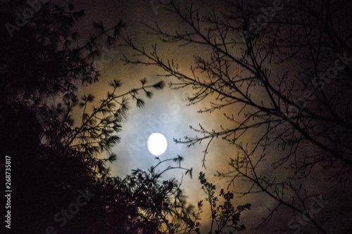 Umbra Moon © ELG Photography