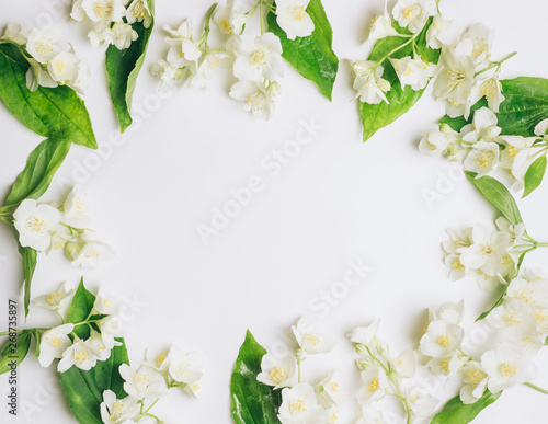Spring flowers. White jasmine flowers