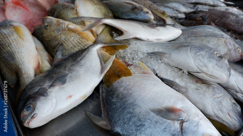 Tableau sur toile fish monger