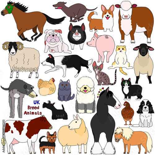 doodle of UK breed domestic animals