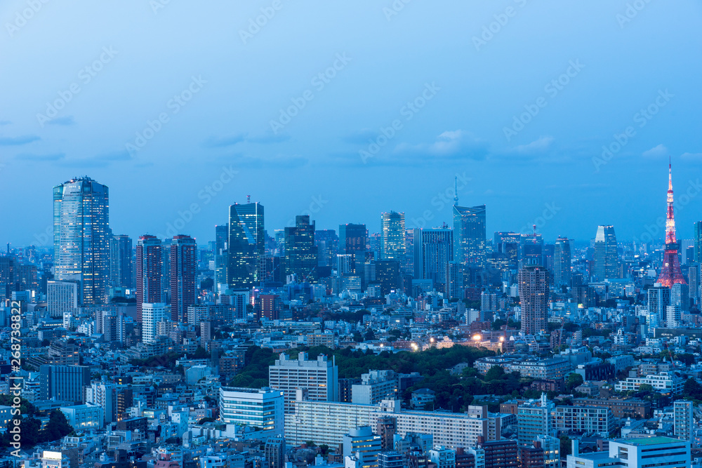 日没直後の東京都心の風景