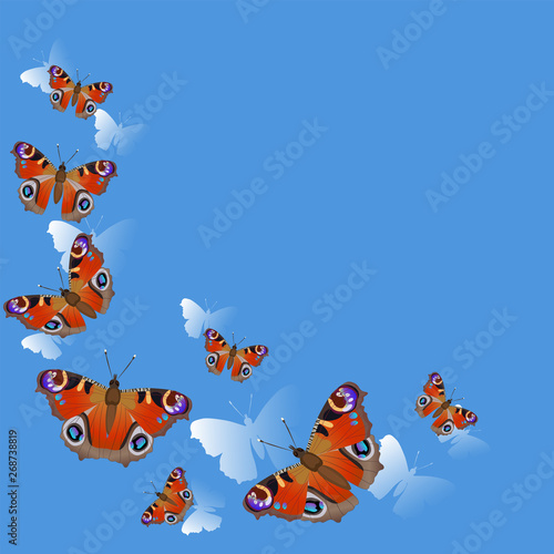 Frame corner made of peacock butterflies in flight on blue background. Vector illustration.
