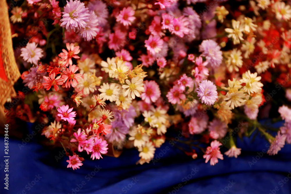 flowers bloom and rose for background flowers bloom and rose for background